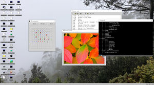 Banana os 2.jpg