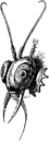Beelz 3.png